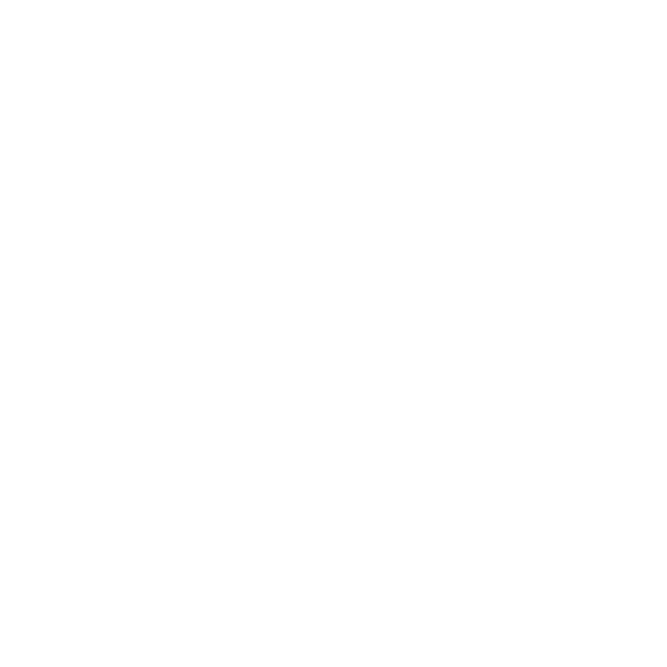XPT Network logo